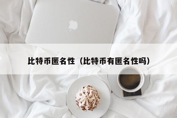 比特币匿名性（比特币有匿名性吗）