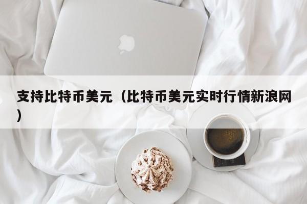 支持比特币美元（比特币美元实时行情新浪网）