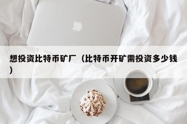 想投资比特币矿厂（比特币开矿需投资多少钱）