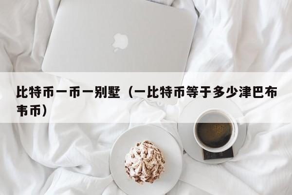 比特币一币一别墅（一比特币等于多少津巴布韦币）