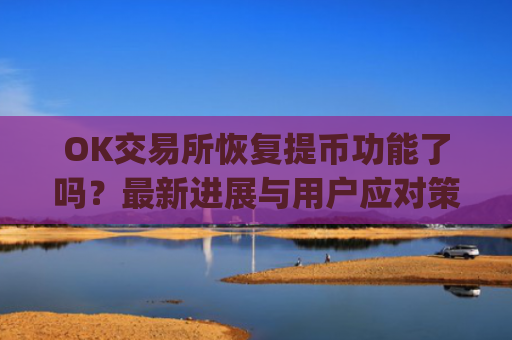 OK交易所恢复提币功能了吗？最新进展与用户应对策略解析_ok交易所能提币了吗是真的吗