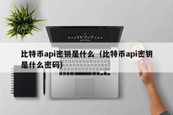比特币api密钥是什么（比特币api密钥是什么密码）