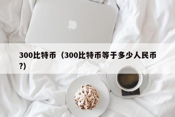 300比特币(300比特币等于多少人民币?)