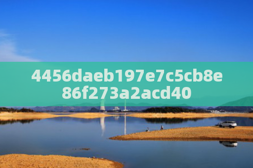 4456daeb197e7c5cb8e86f273a2acd40