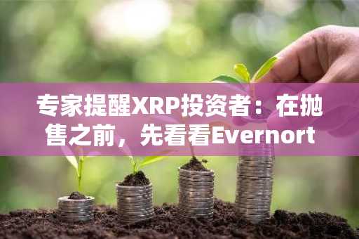 专家提醒XRP投资者：在抛售之前，先看看Evernorth首席执行官在此说了什么