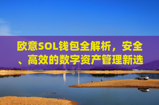 欧意SOL钱包全解析，安全、高效的数字资产管理新选择_oex钱包是什么