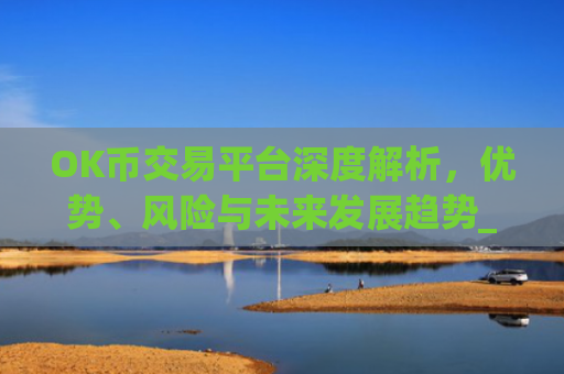 OK币交易平台深度解析，优势、风险与未来发展趋势_