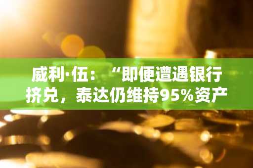 威利·伍：“即便遭遇银行挤兑，泰达仍维持95%资产担保”