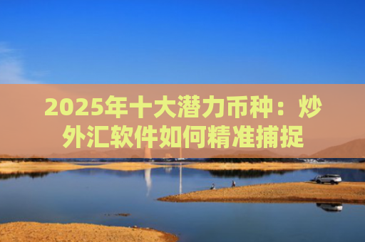 2025年十大潜力币种：炒外汇软件如何精准捕捉