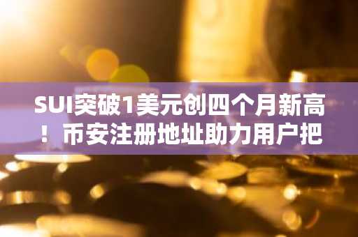 SUI突破1美元创四个月新高！币安注册地址助力用户把握上涨潜力