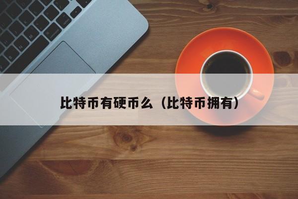 比特币有硬币么（比特币拥有）