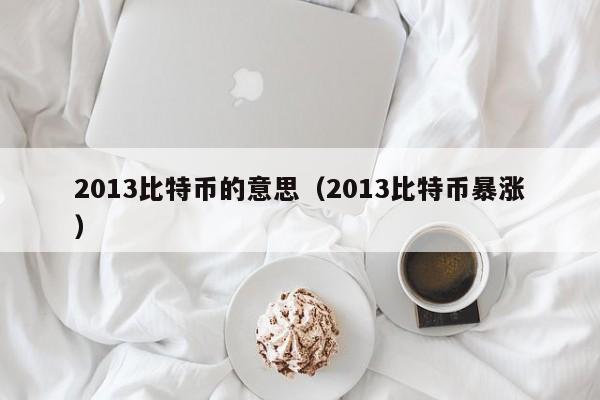 2013比特币的意思（2013比特币暴涨）
