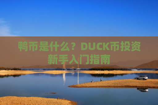 鸭币是什么？DUCK币投资新手入门指南