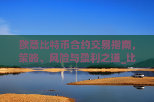 欧意比特币合约交易指南，策略、风险与盈利之道_比特币欧元交易所