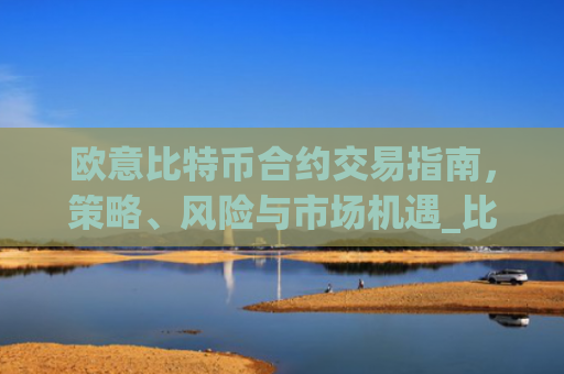 欧意比特币合约交易指南，策略、风险与市场机遇_比特币合约omex