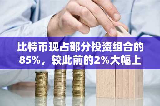 比特币现占部分投资组合的85%，较此前的2%大幅上升