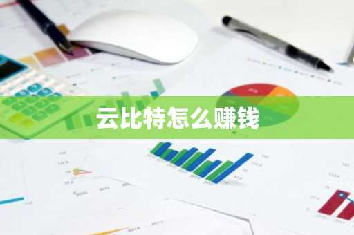 云比特怎么赚钱