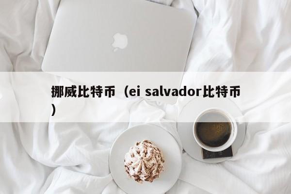 挪威比特币（ei salvador比特币）